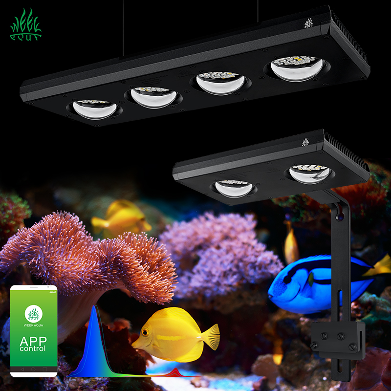 Aquarium Blue Marine - ไฟ LED สำหรับตู้ปลาทะเล ZXY Hot Sale