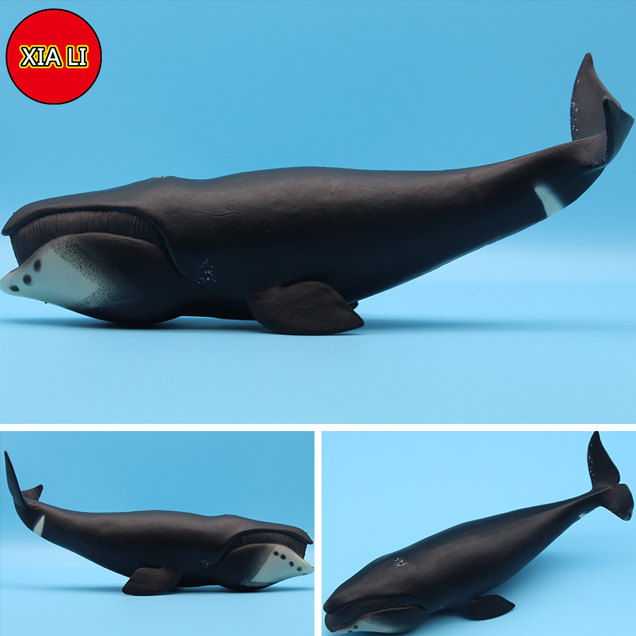 ของเล่นจำลองสัตว์ทะเล วาฬเพชฌฆ - Aquarium Blue Marine บทวิจารณ์และราคา