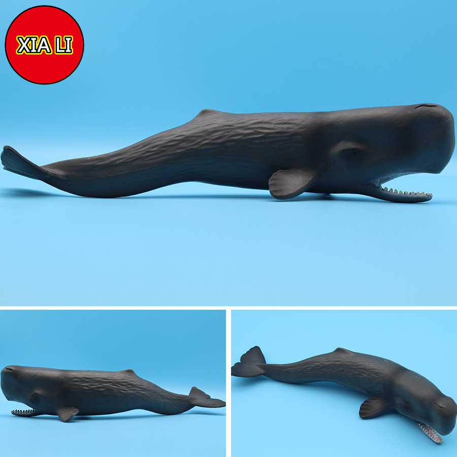 ของเล่นจำลองสัตว์ทะเล วาฬเพชฌฆ - Aquarium Blue Marine บทวิจารณ์และราคา