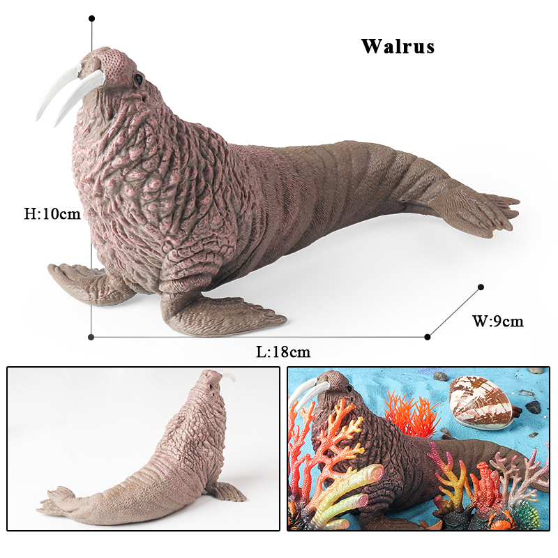 โอเอ็นักซ์ นิว ซี ไลฟ์ ซีล ซีไ - Aquarium Blue Marine บทวิจารณ์และราคา