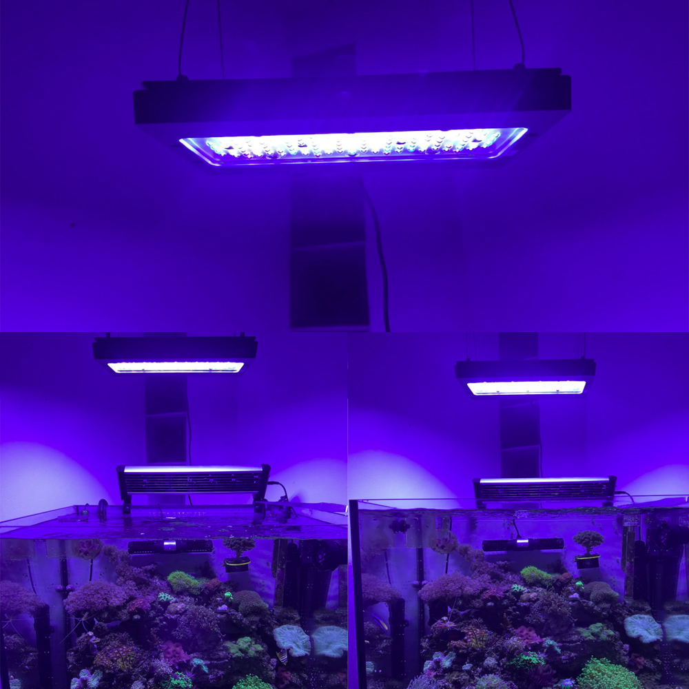 A8se Pro III MAX สีน้ำเงิน 240 - Aquarium Blue Marine บทวิจารณ์และราคา