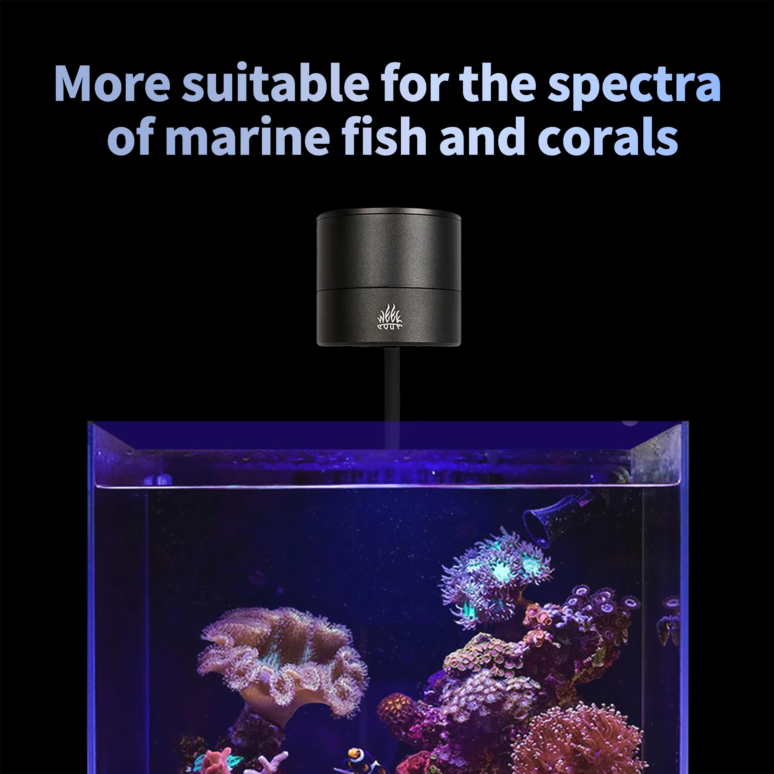 ไฟสำหรับตู้ปลา WEEK AQUA รุ่น  - Aquarium Blue Marine บทวิจารณ์และราคา