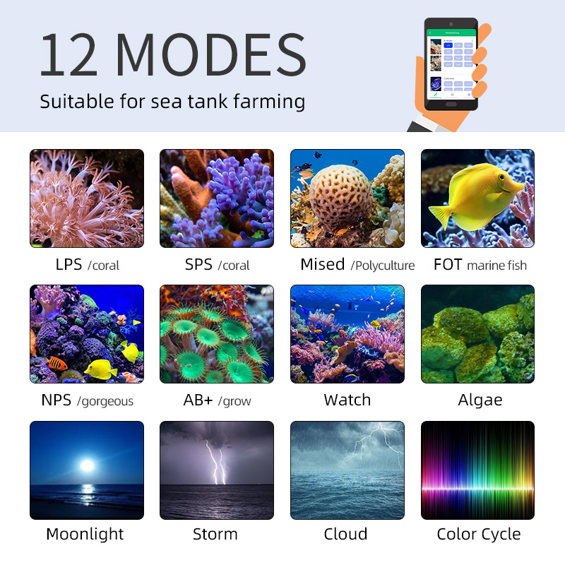 ไฟ LED สำหรับตู้ปลาทะเล ZXY Ho - Aquarium Blue Marine บทวิจารณ์และราคา