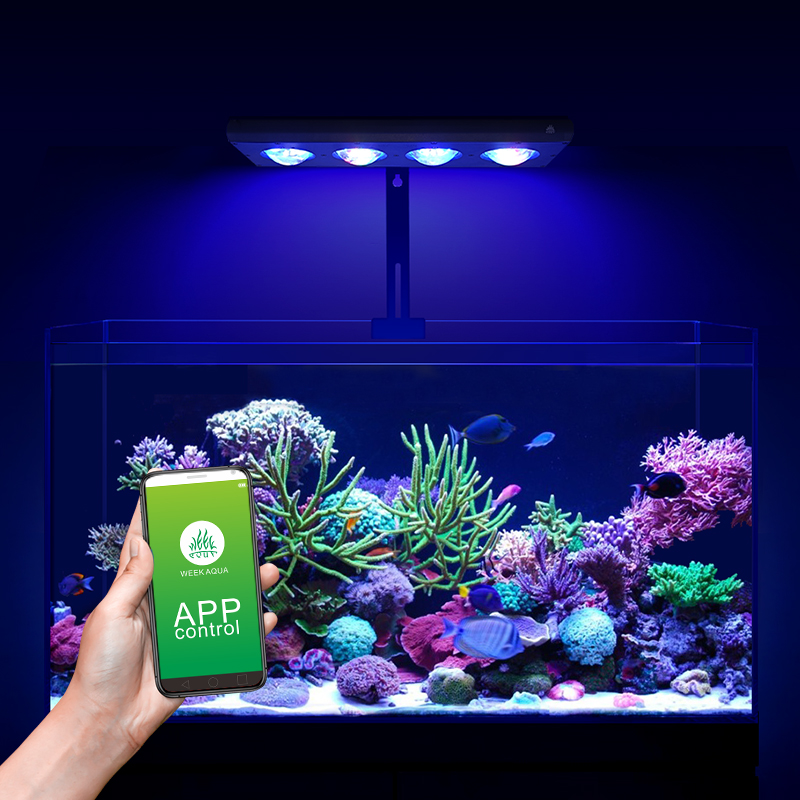 ไฟ LED สำหรับตู้ปลาทะเล ZXY Ho - Aquarium Blue Marine บทวิจารณ์และราคา