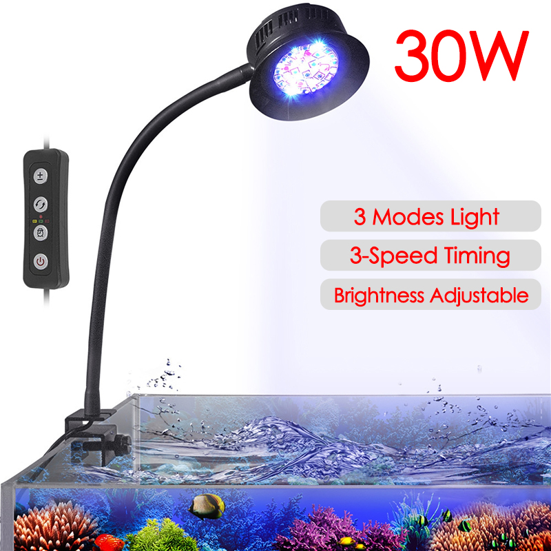 30W Aquarium Fish TANK น้ําทะเ - Marine Aquarium Water บทวิจารณ์และราคา